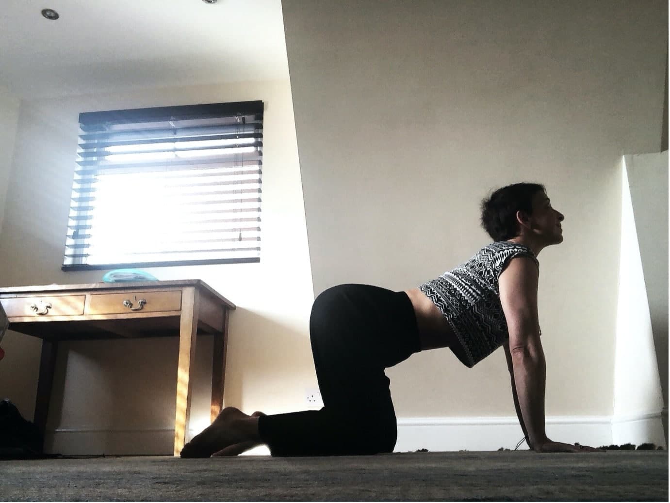 Online sessions with Nicola